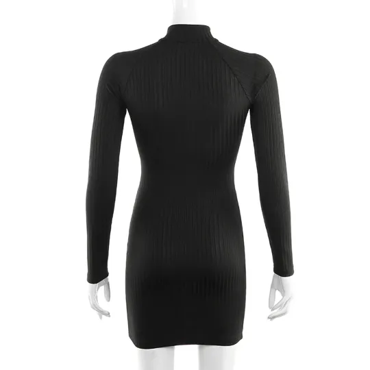 Zipped High Neck Long Sleeves Autumn Fashion Mini Dress